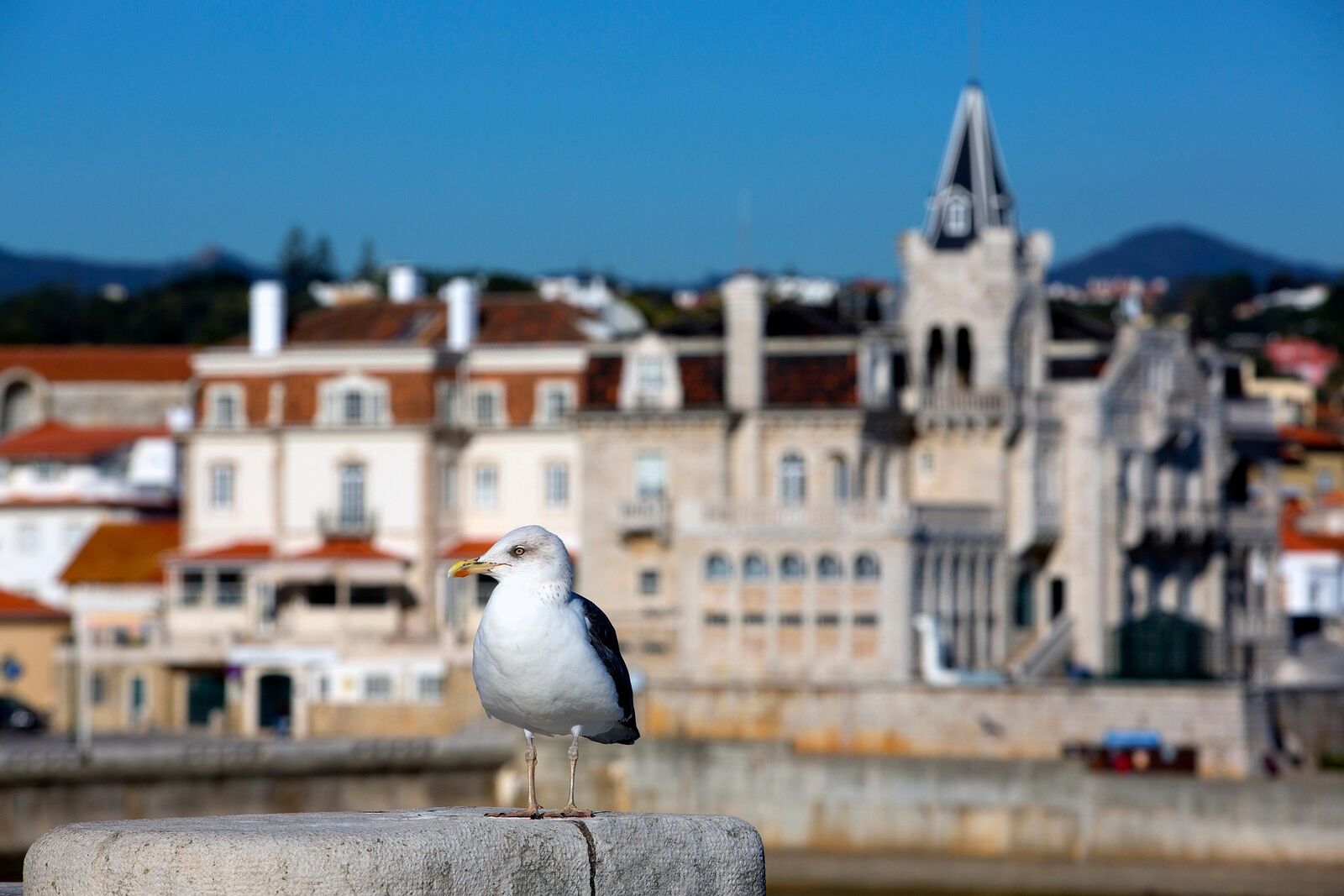 Cascais